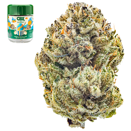 Bluebert - 3.5g