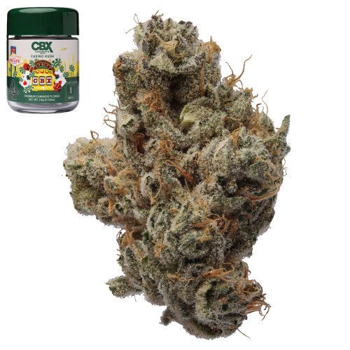 Casino Kush - 3.5g