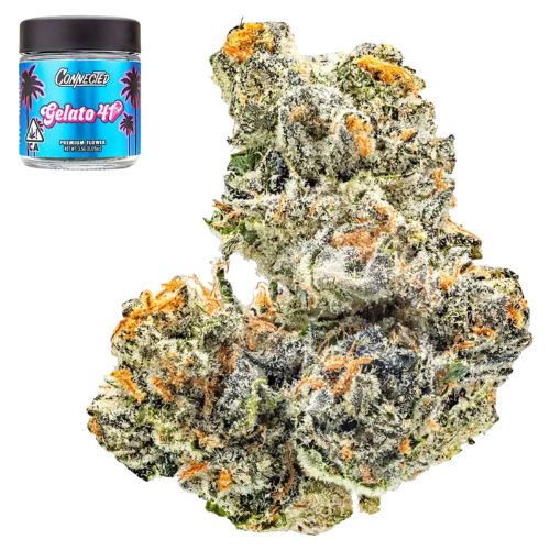 Gelato 41 - 3.5g