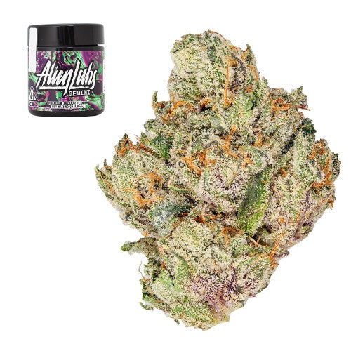 Gemini - 3.5g