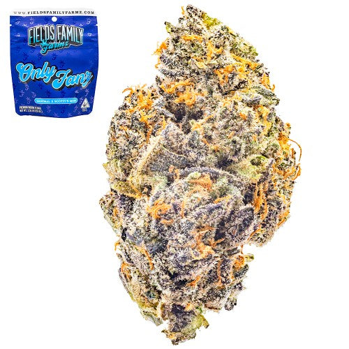 Only Fanz - 3.5g