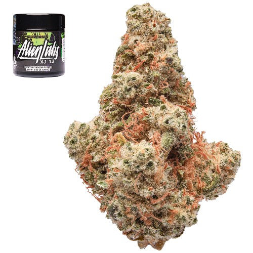 XJ-13 - 3.5g